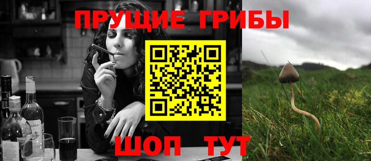 Галлюциногенные грибы Psilocybine cubensis  Псилоцибиновые грибы ЛСД  Вход с VPN  Кингисепп 