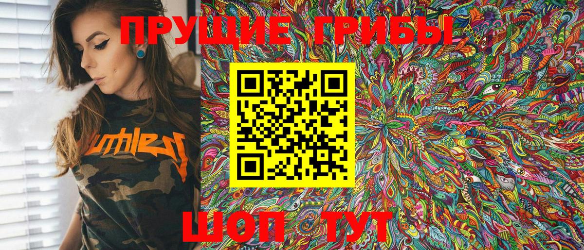 Псилоцибиновые грибы Cubensis Кингисепп