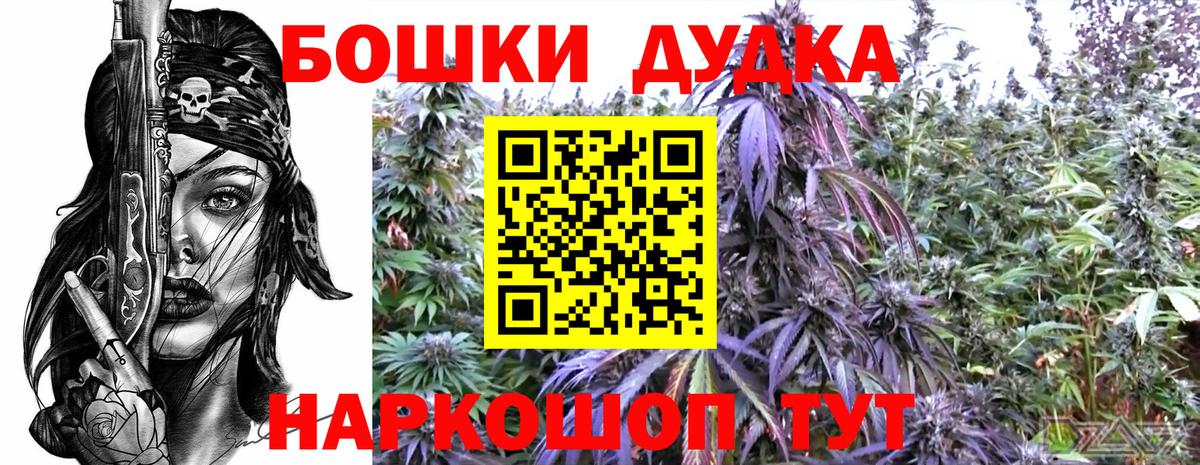 Кингисепп  Каннабис гибрид  Бошки Шишки OG Kush  Вход с VPN  Каннабис Ganja 